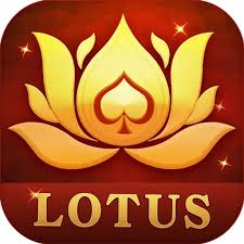 rummy money app download download